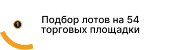 Подбор лотов 54 торговых площадки