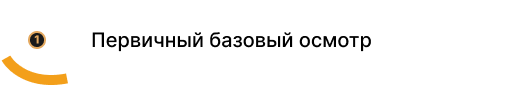 Первичный базовый осмотр